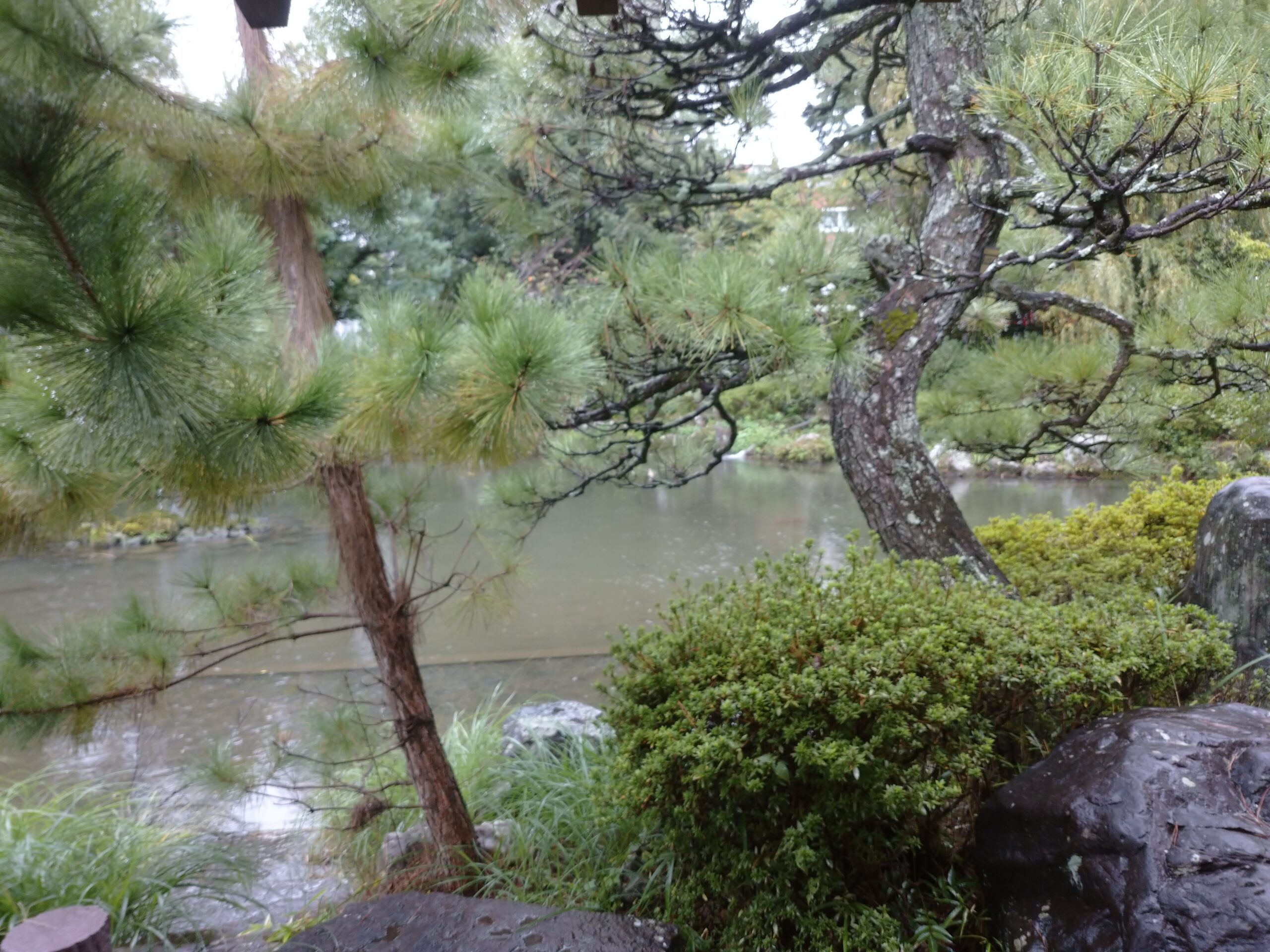 雨の日の神社と公園