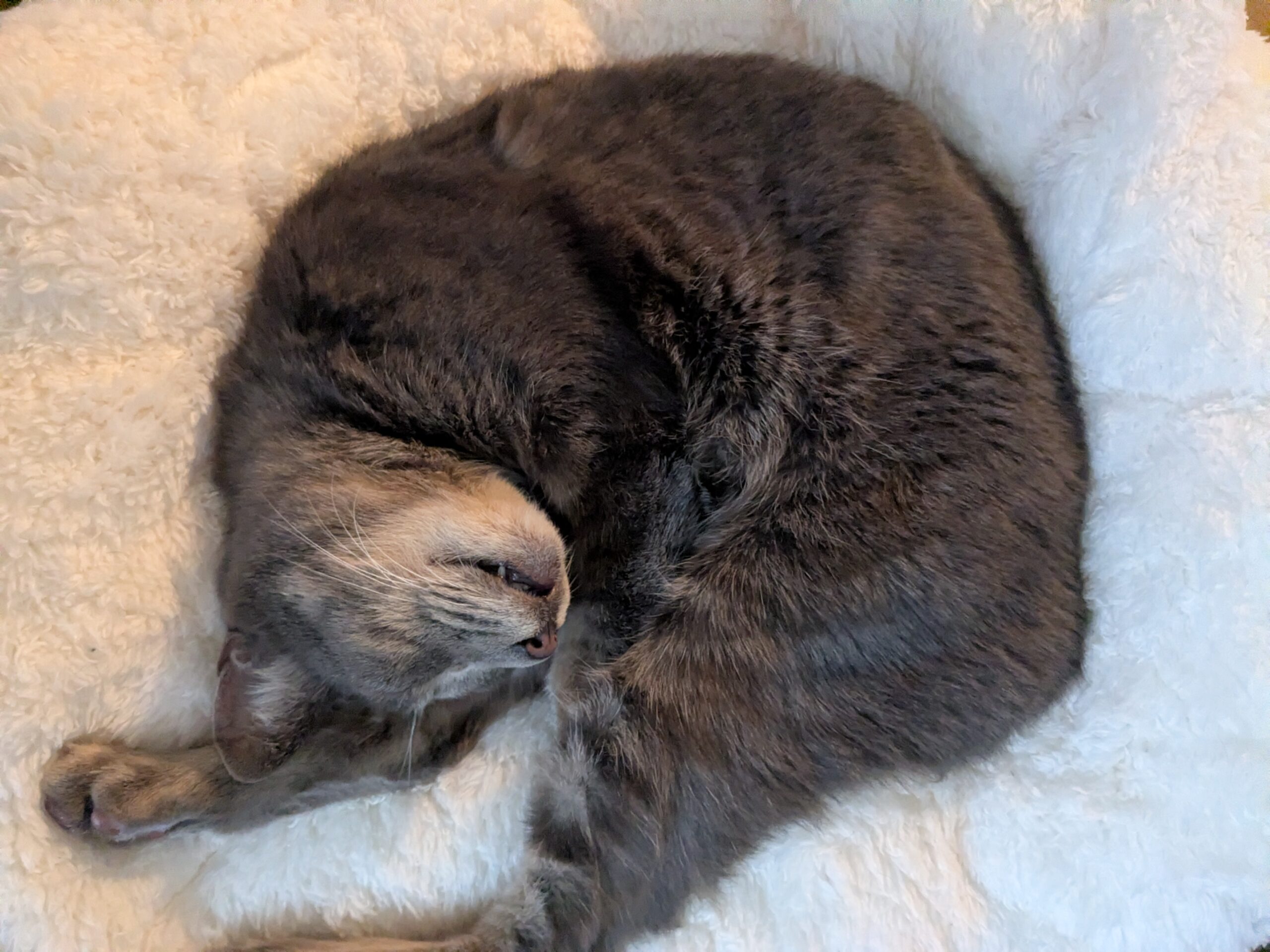 休日に外出しない最高の贅沢