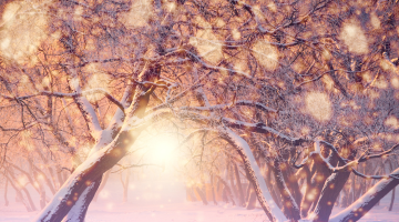 今年の年末も、いつも通り