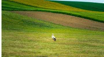表に出ない価値を磨く