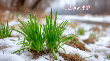 追われない繁忙期へ