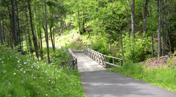 移転から、気が付けば8年